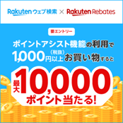 ウェブ検索キャンペーン